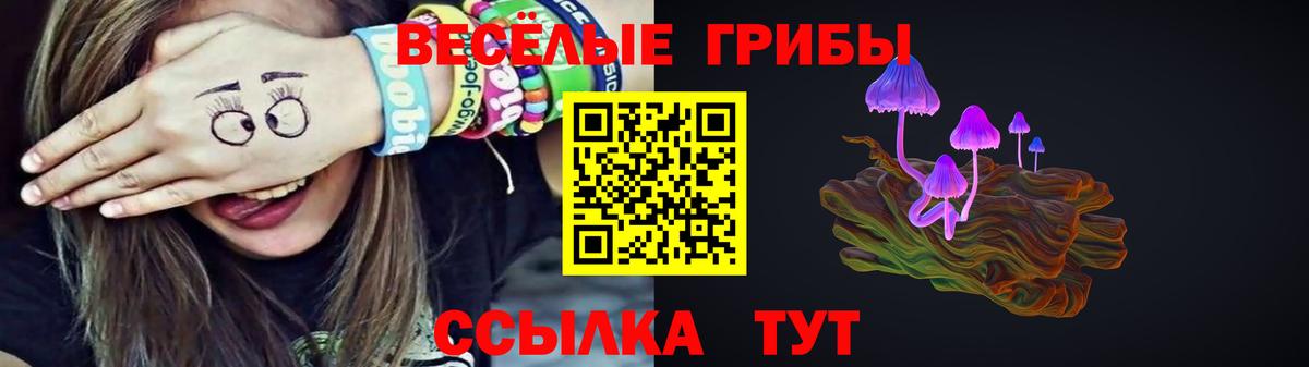 Псилоцибиновые грибы MAGIC MUSHROOMS  Вход с VPN  Сертолово 
