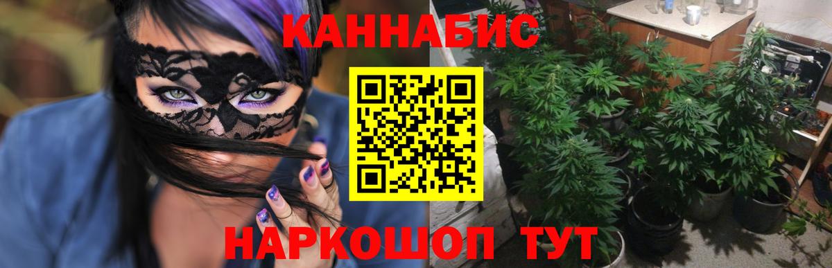 Каннабис марихуана Сертолово